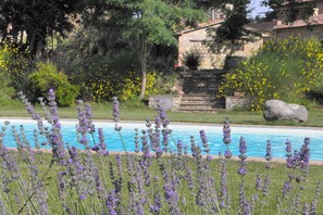 Autumn, Pool, Spring, Summer