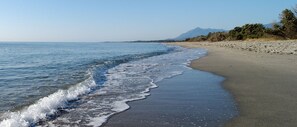 Strand