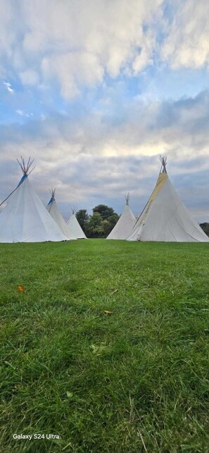Tipi 