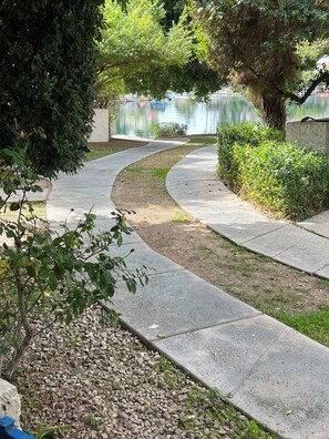 Property grounds
