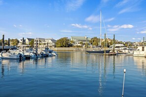 Marina Views