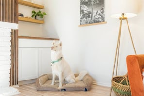 Perfectly pet-friendly and designed for both comfort and style!