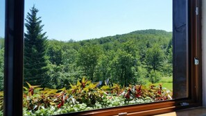 Vista al patio
