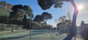 Sport court