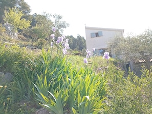 Boendeområde