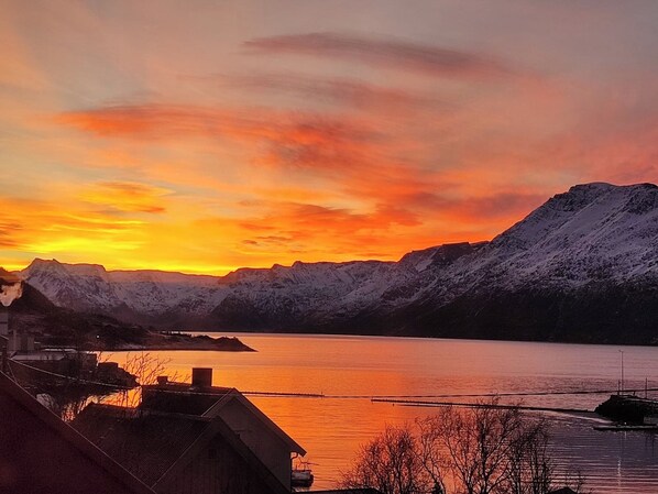Övrigt