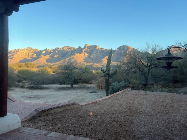 Backyard Mountains View’s