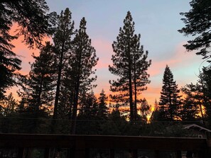 Evening views