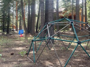 Jungle gym and kids tree swing