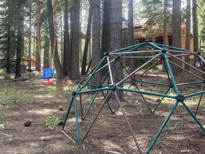 Jungle gym and kids tree swing