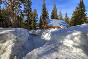 Winter 2023 - lots of snow!