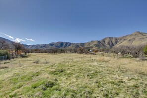 Surrounding Area