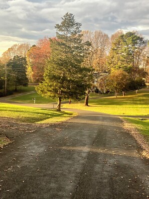 Road leading to cottage on right side