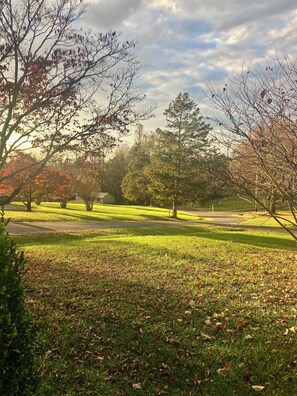 In a small, quiet, safe neighborhood. You may see deer, rabbits, hawks, and fox.