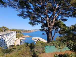 View from property