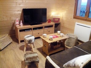 Salon ( TV, lecteur DVD, DVD, livres...)