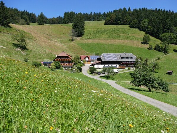 UnterkunftsgelÀnde