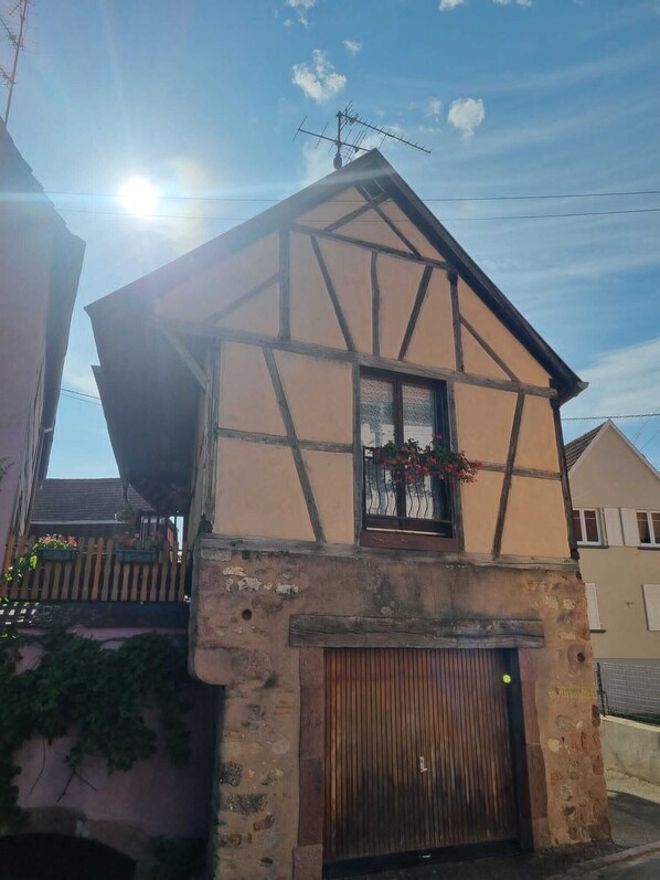 Exteriör