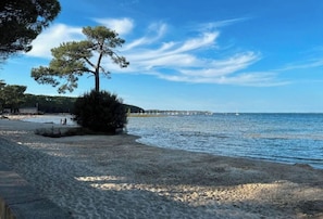 Ranta