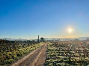 Chemin menant au gîtes De jolies promenades au rendez-vous