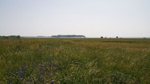 Unclassified image, 5 of 24, button