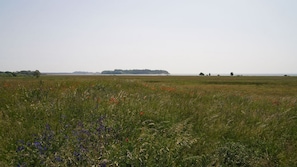 Unclassified image, 5 of 24, button