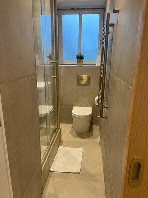 Main Bathroom Shower