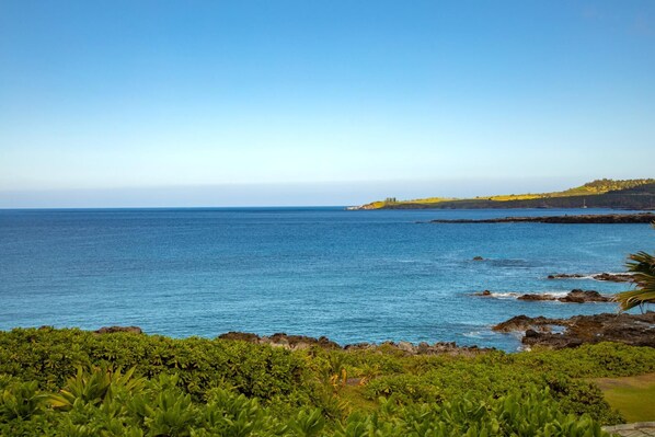 Enjoy the serene ocean views from the lanai!