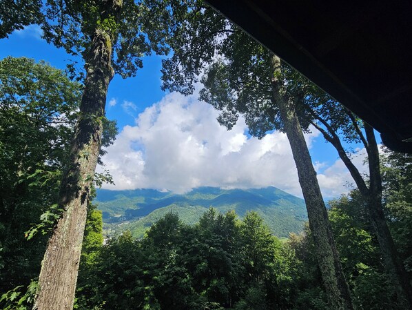 View from front porch