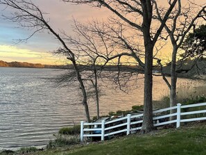 Back yard - pond view 
