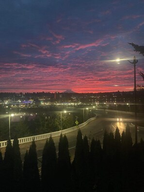 View from upstairs window. Capital Lake, downtown, and the mountain.