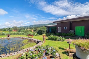 Front of house