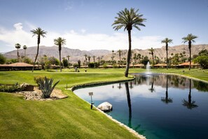 Lush green grass with serene pond and swaying palm trees.