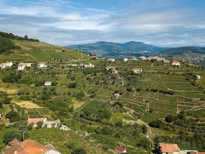 The tranquillity of the Douro Valley from the first-floor balcony.