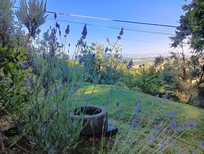 Autumn, Garden, Spring, Summer