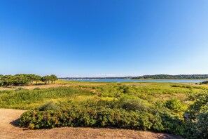 Ever-changing Chipmans Cove views from the property