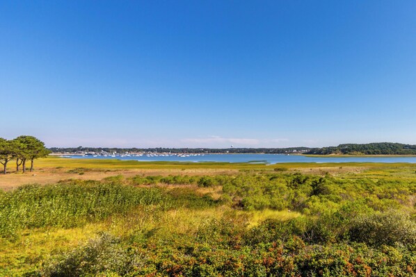 Ever-changing Chipmans Cove views from the property