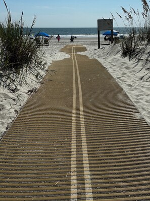 Walkway thru the sand 