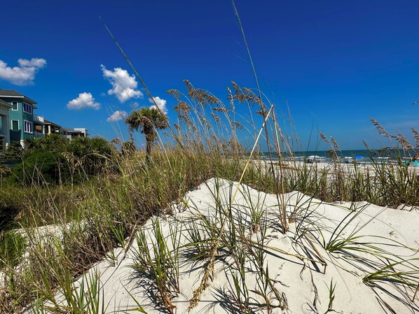 Beautiful Sand Dunes 