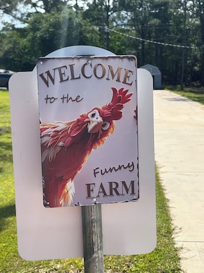 You will receive fresh eggs at check-in.