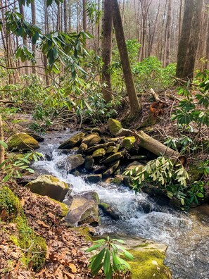 on property small waterfall
