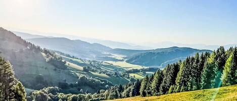 Sky, Mountainous Landforms, Mountain, Green, Hill, Nature, Tree, Natural Landscape, Grass, Highland