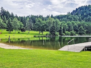 Baum, Natürliche Landschaft, Bank, Teich, See, Reflexion, Wald, Lärche, Bergstation, Reservoir