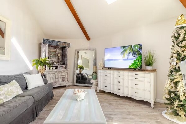 Living area with sleeper sofa