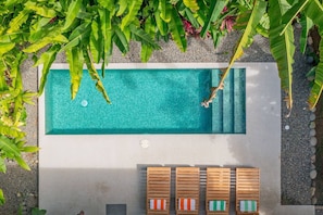Pool and garden