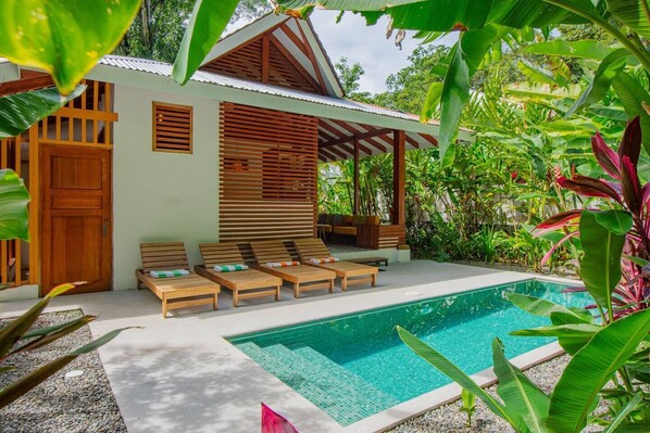 Swimming pool and terrace (1)