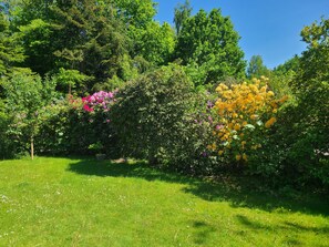 Boendeområde