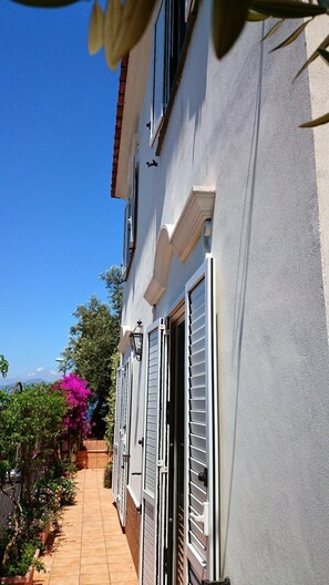 Exterior detail