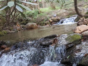 Multiple trails at the cabin lead down to Tickanetely Creek or venture into the Chattahoochee National Forest.