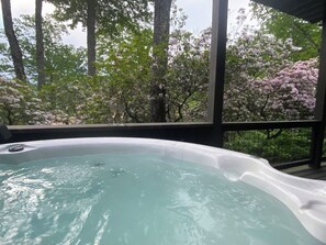 Outdoor spa tub